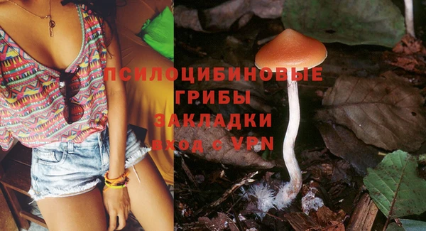 не бодяженный Бородино
