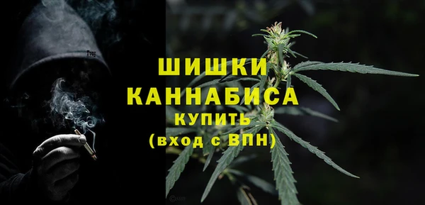не бодяженный Бородино