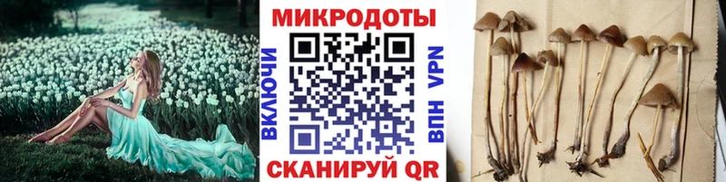 продажа наркотиков  Тбилисская  blacksprut рабочий сайт  Галлюциногенные грибы прущие грибы 