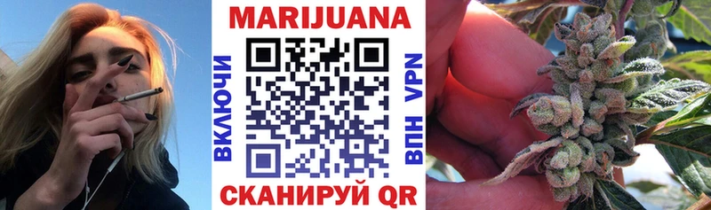 Бошки марихуана SATIVA & INDICA  Тбилисская 